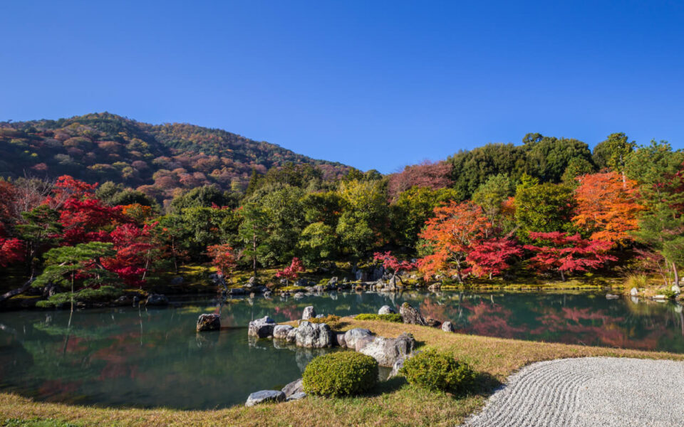 天龍寺位於京都嵐山，是世界文化遺產“歷史的嵐山地區”核心寺院，以枯山水庭園聞名。寺內庭園四季景色各異，春賞櫻、秋觀紅葉，是京都賞景與拍照的熱門打卡地，同時感受日本禪宗的寧靜與雅緻。