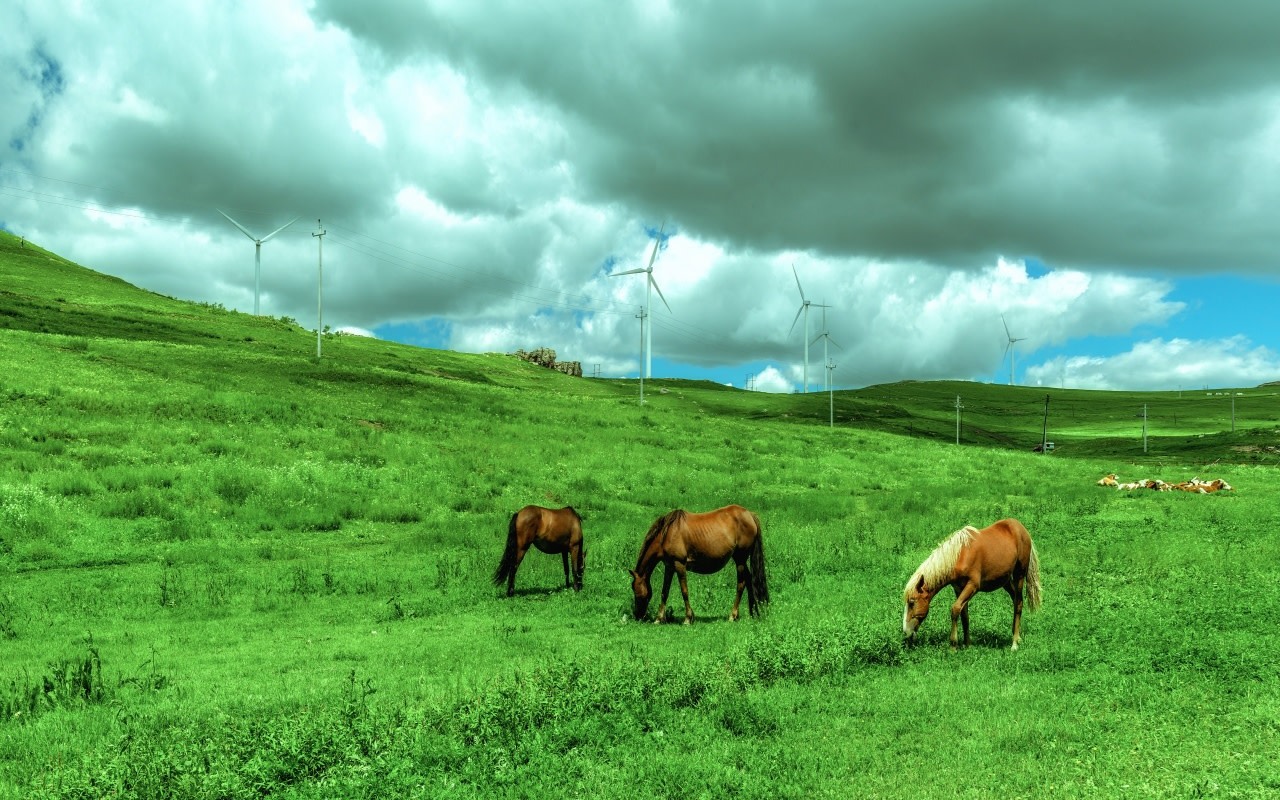 Yangtian Lake Prairie Full-Day Small Group Nature Tour