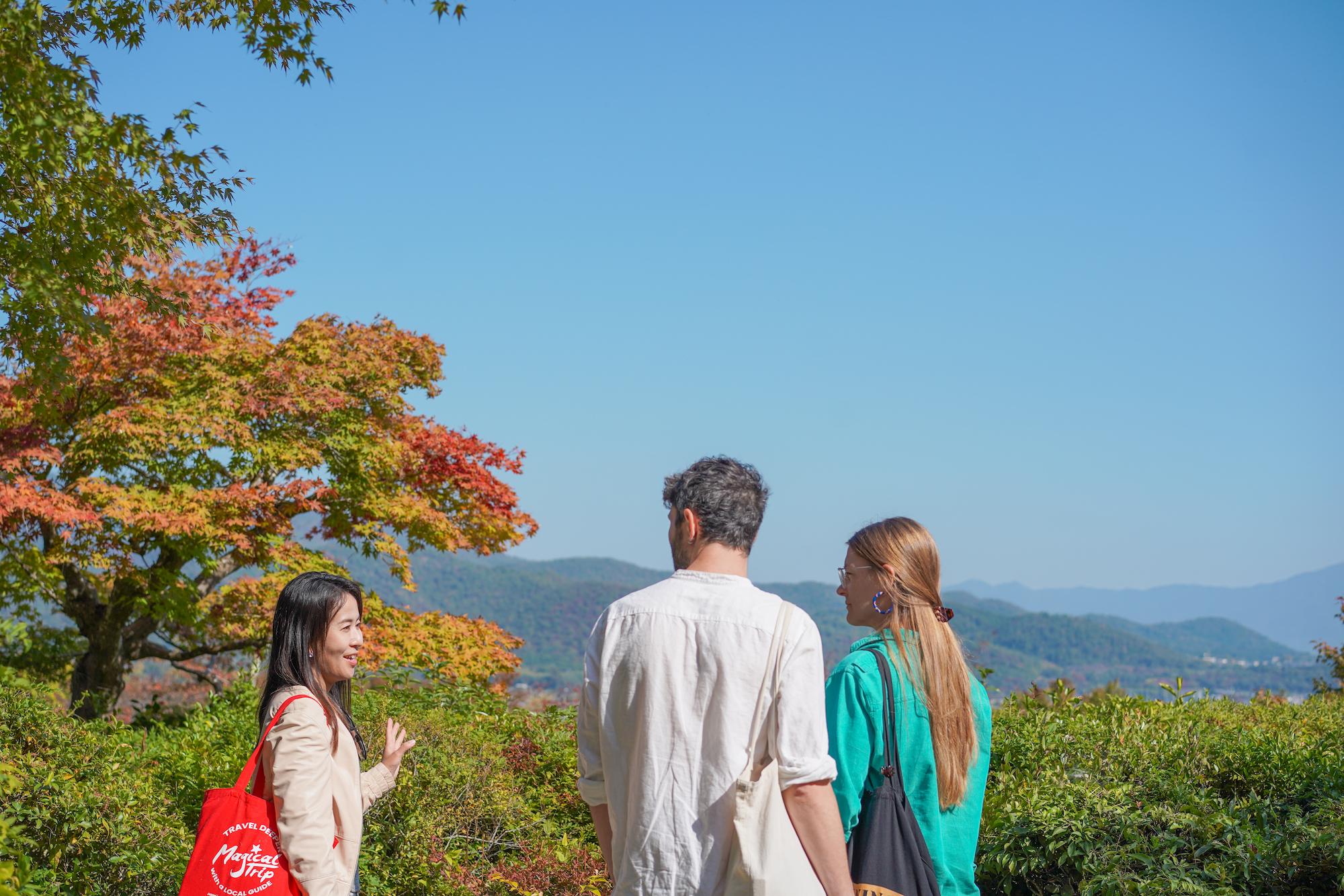 京都嵐山竹林 & 花園半日徒步之旅