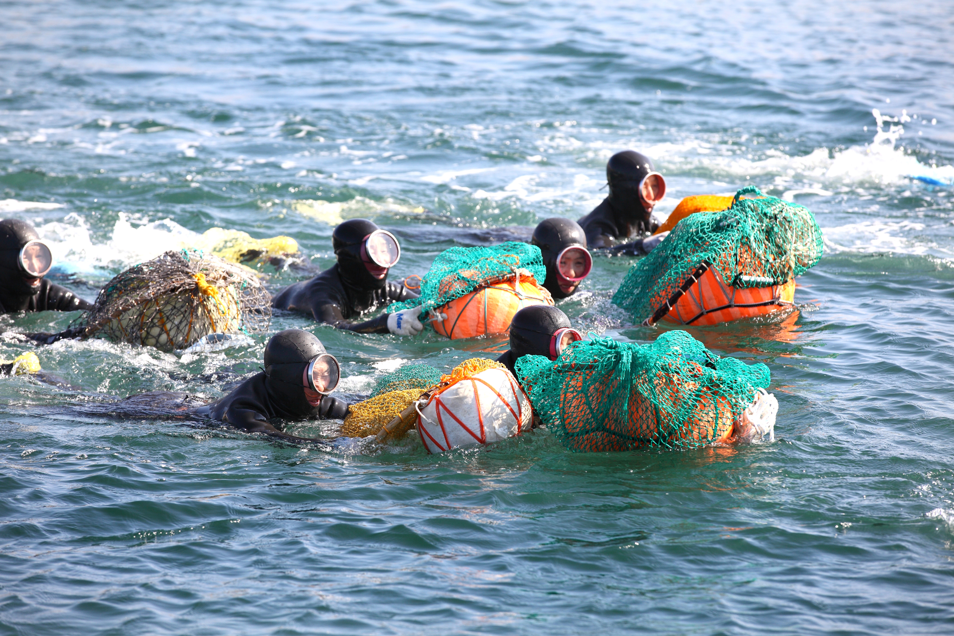 欣賞海女的現場潛水表演，一窺濟州獨特的聯合國教科文組織認證海女文化。