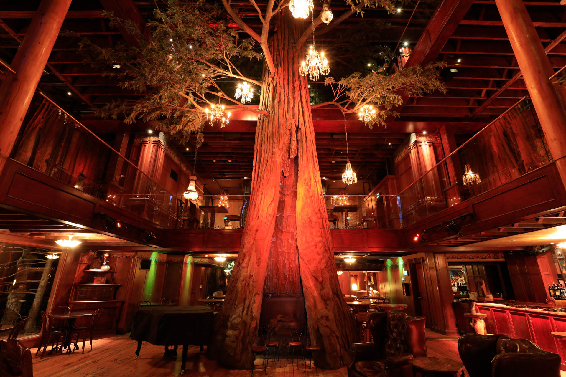 Downtown Broadway Speakeasy Rooftop Bar Nightlife Cocktail Tour