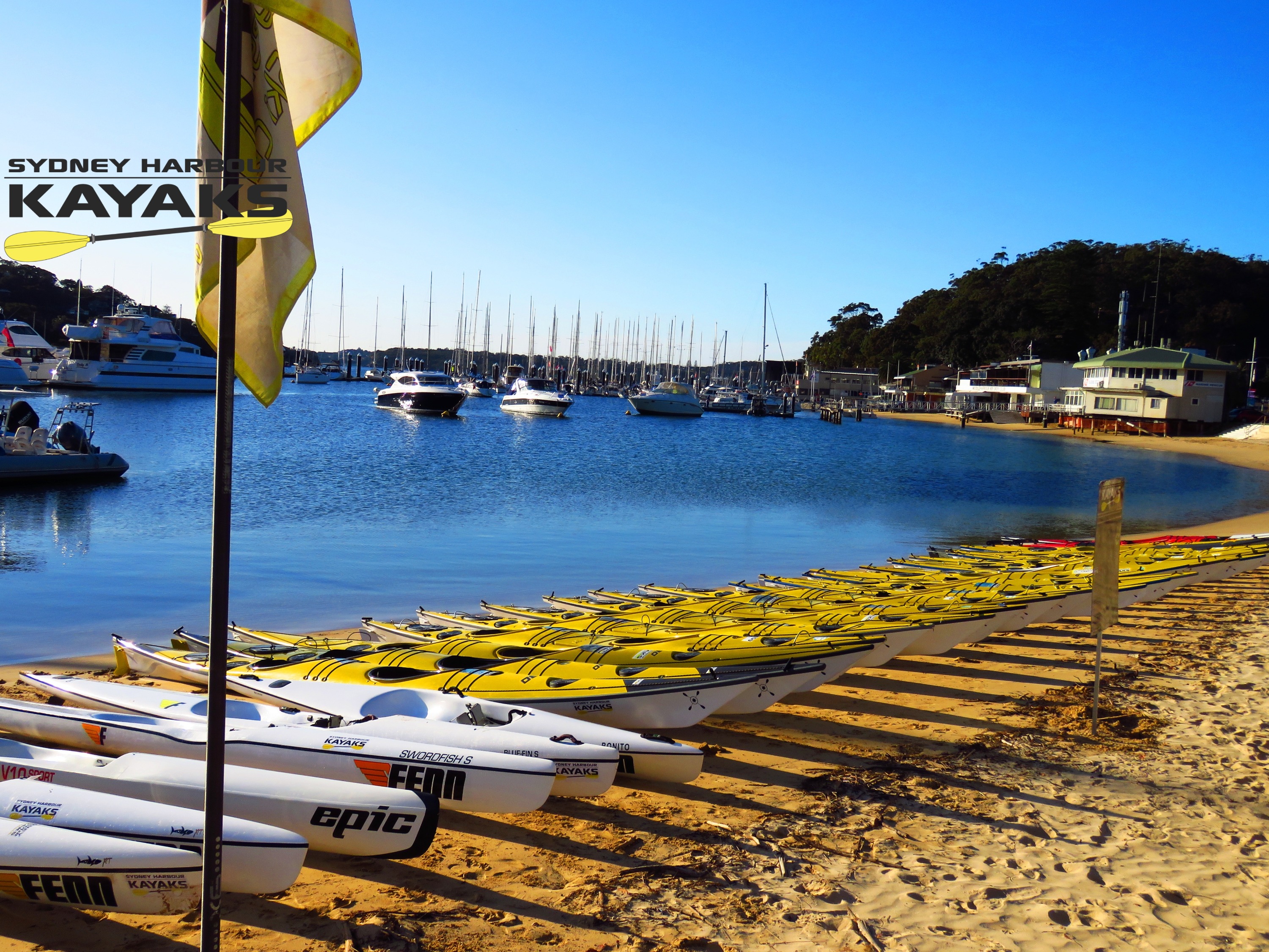 雪梨中港豪華雙人獨木舟租借（Sydney Harbour Kayaks 提供）