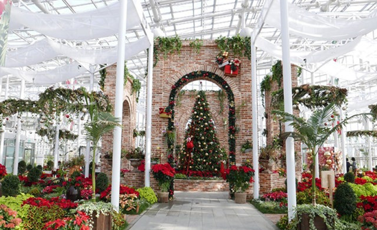 無盡的拍照點，景色獨特。