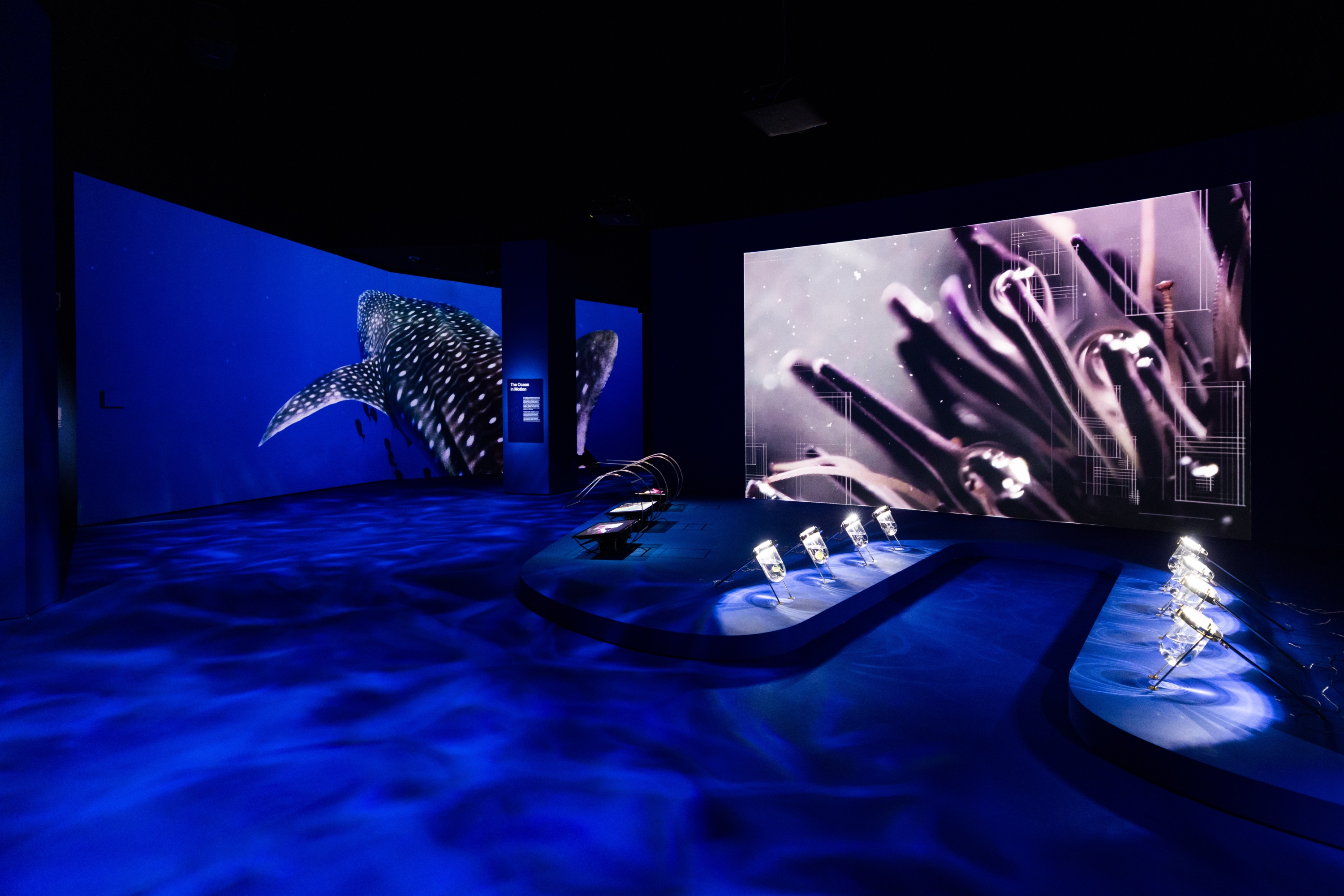 透光區展示OceanX影像
