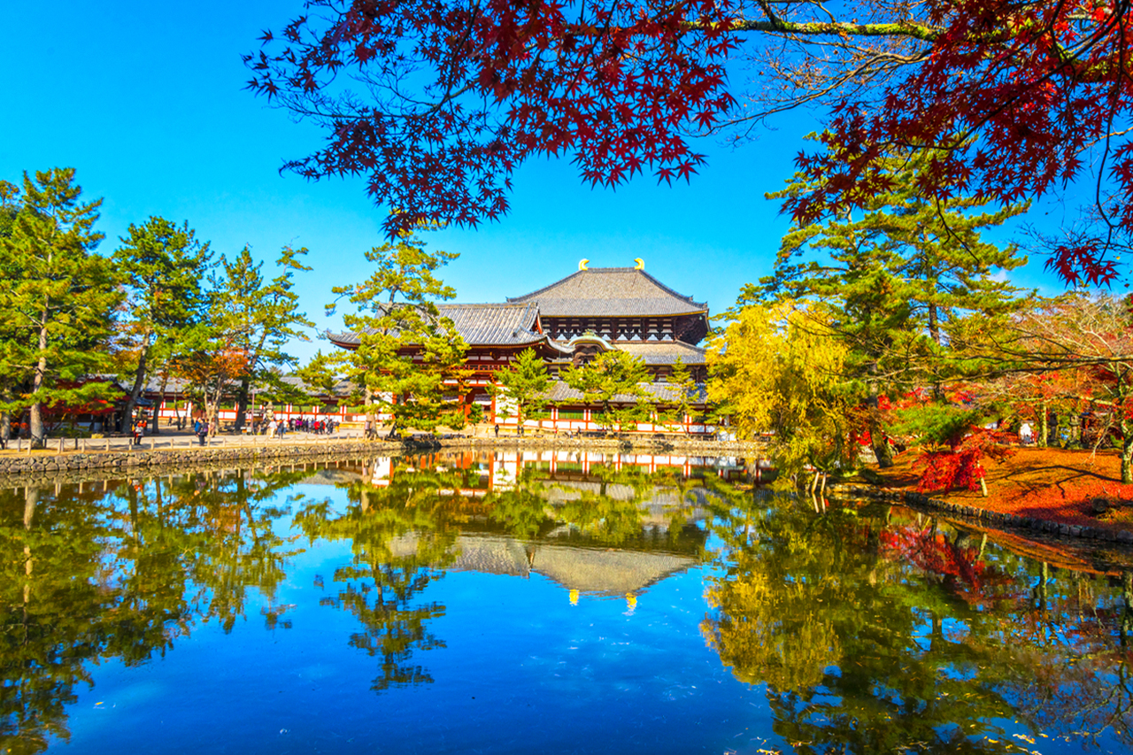 Near Nara Park: Todaiji Temple, located in Nara Park, is one of the most representative Buddhist temples in Japanese history.