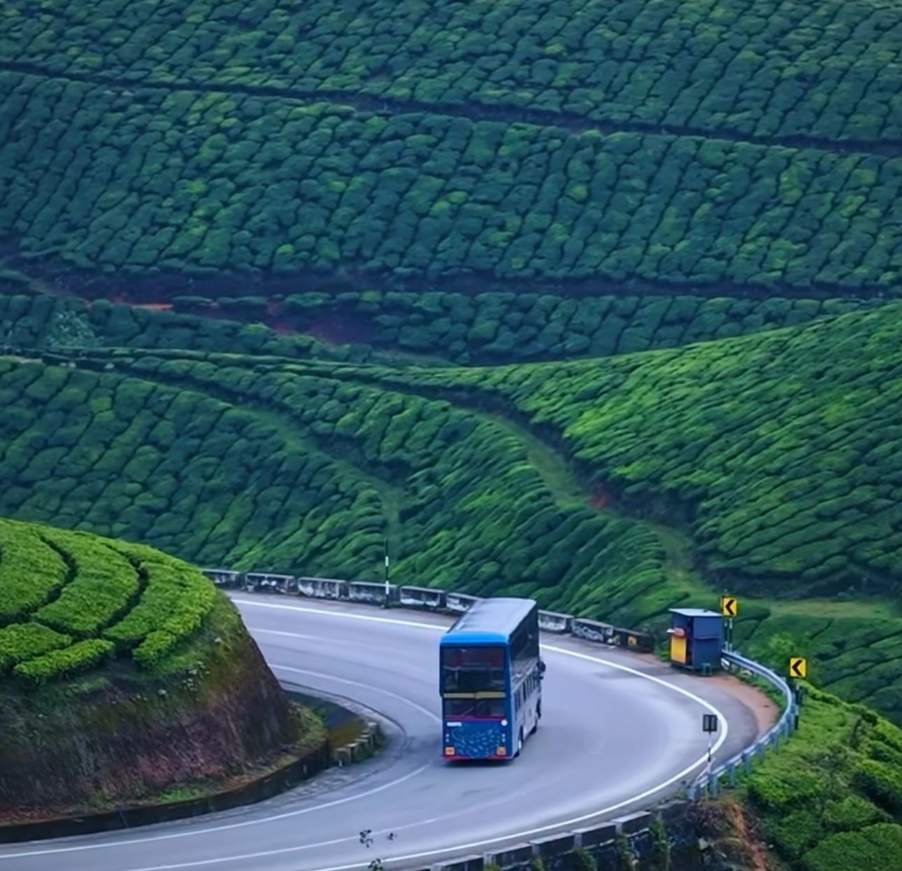 From Kochi: Munnar Eravikulam, Lockhart & Waterfalls Day Tour