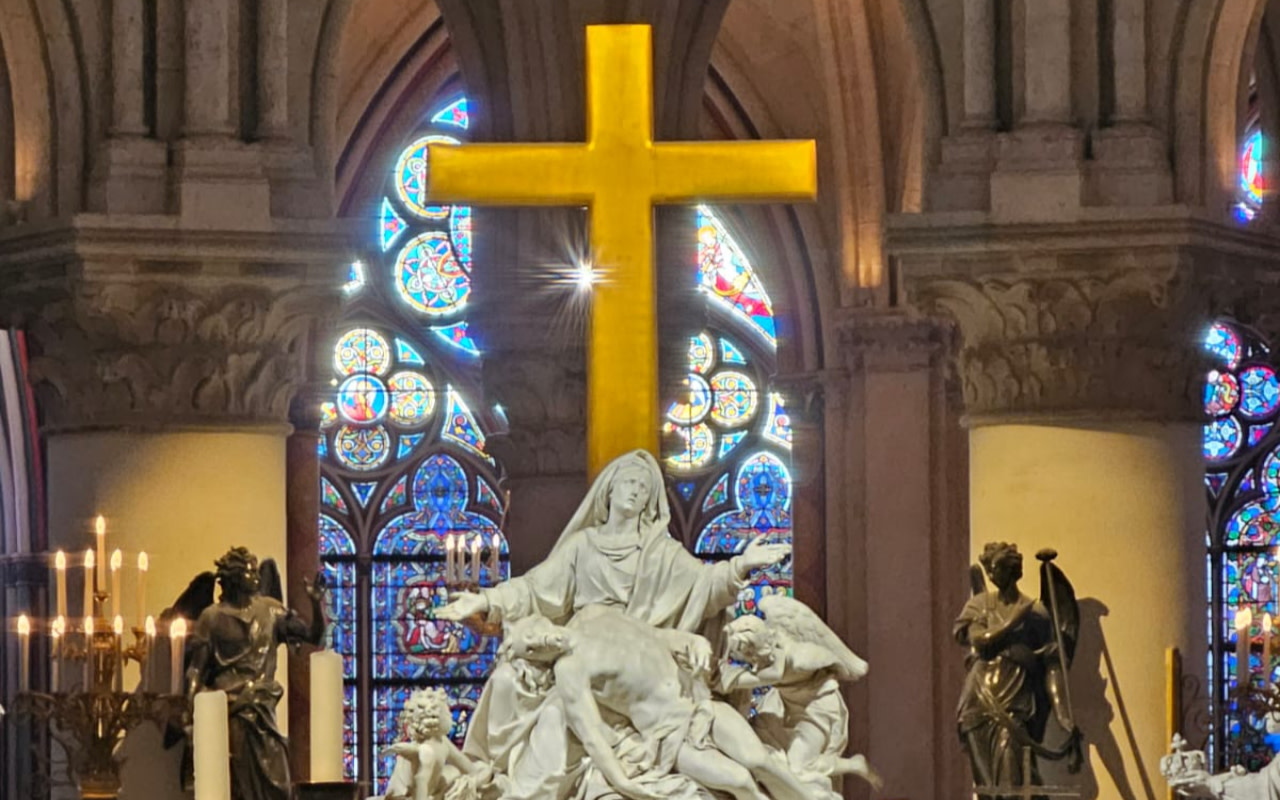 Notre Dame Paris outdoor tour with Crypt entry