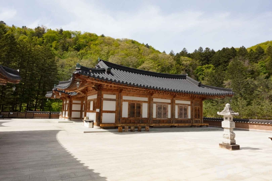 大關嶺天空牧場/山地過山車/發旺山纜車