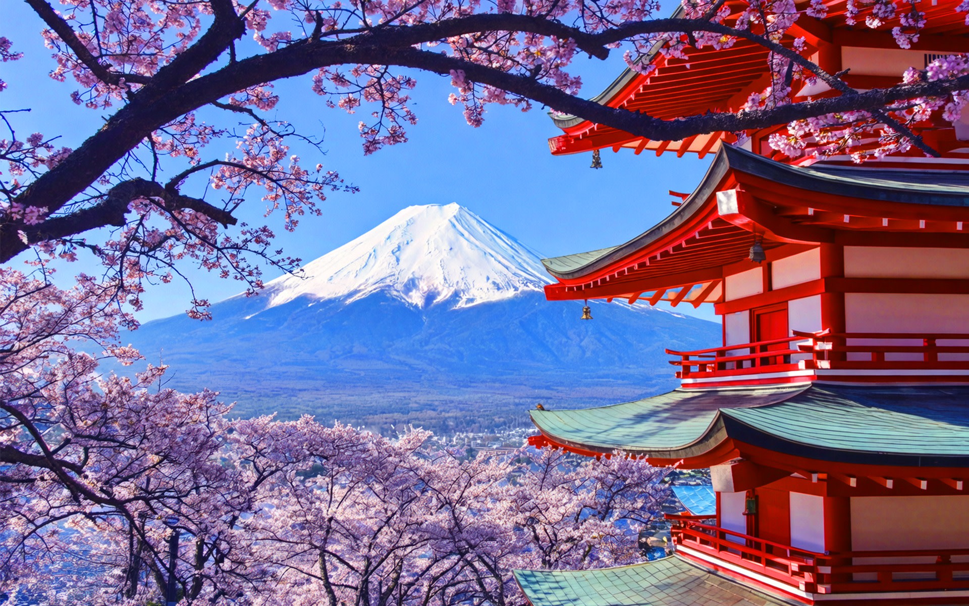 [One-Day Tour Exploring the Magnificent Views of Mount Fuji] Arakurayama Sengen Park & Lake Kawaguchi Oishi Park & Oshino Hakkai & Instagram-Famous Lawson & Nikawa Tokeiten (Departure from Tokyo)