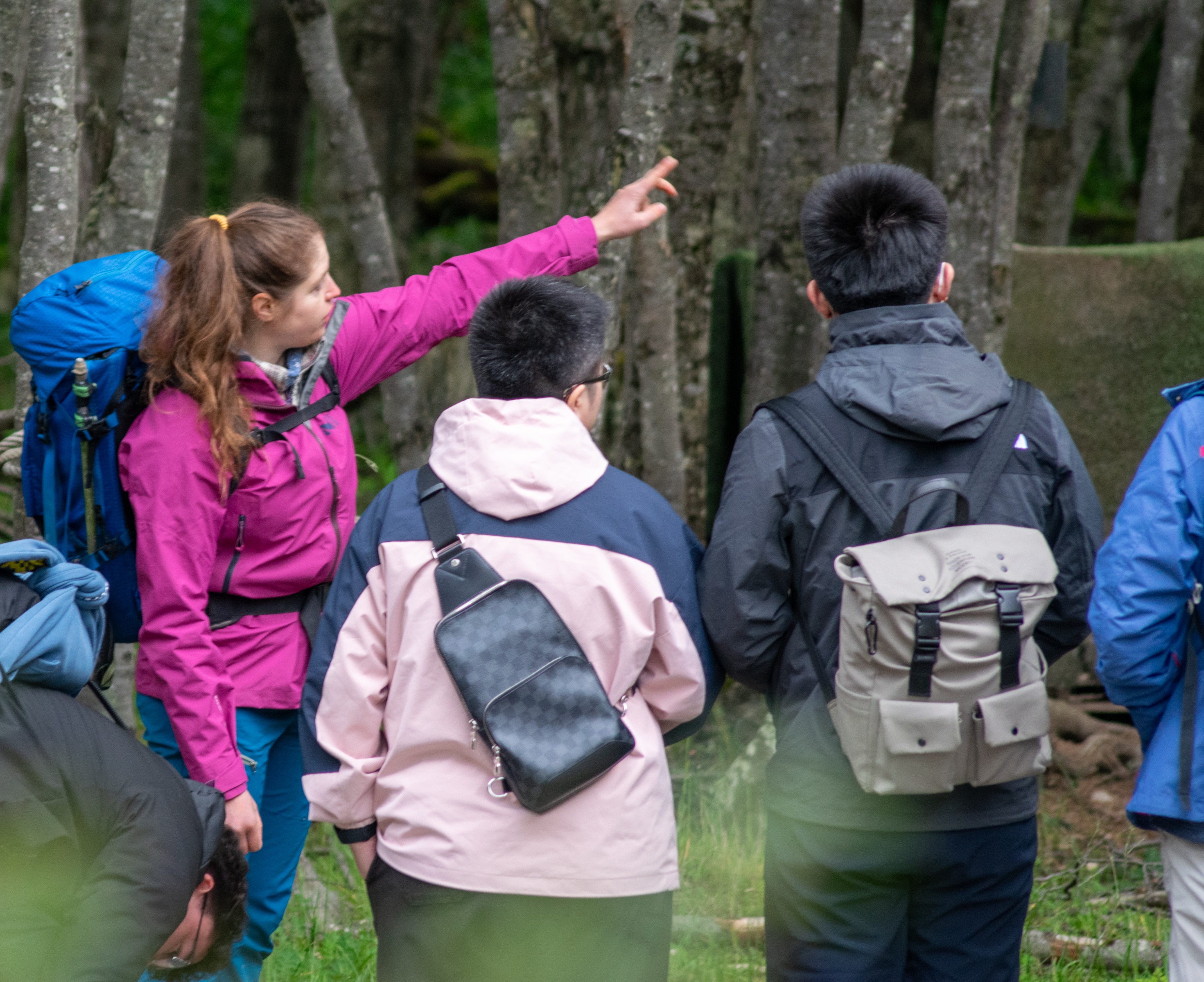 Emerald Lagoon half day Trekk tour from Ushuaia