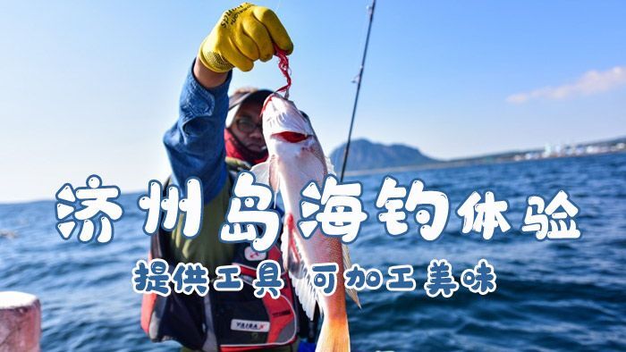 济州岛海钓包船 & 拼船