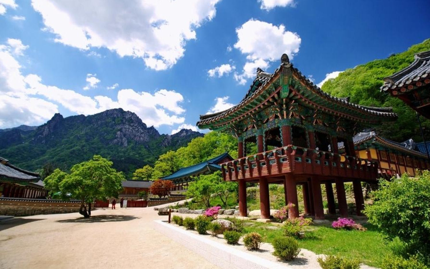 Gangwon Arte Museum & Naksansa Temple Full-Day Tour with Crab Dinner