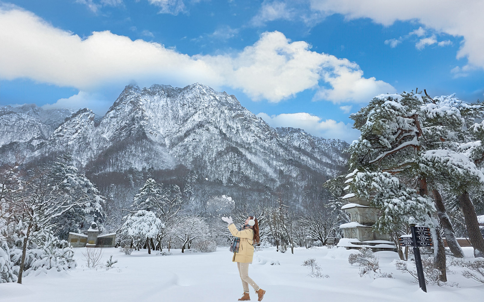 [20% Off] Nami, Mt.Seorak, Alpaca, Rail Bike, Morning Calm, Eobi