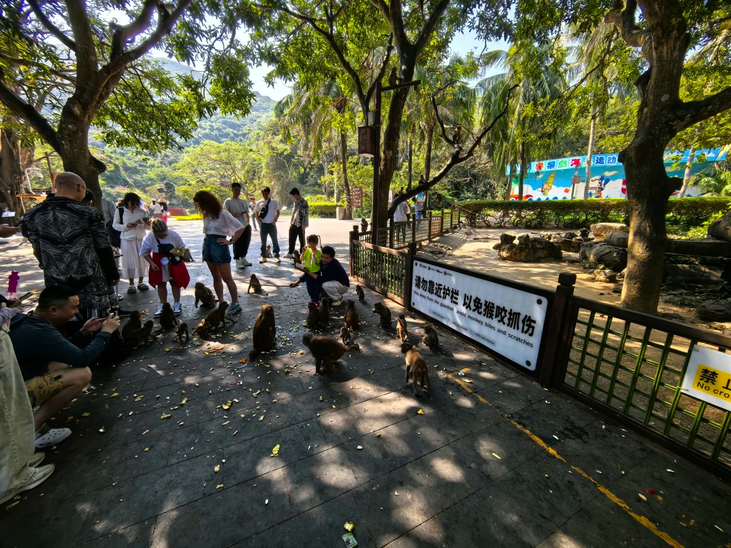 三亞周邊遊 | 猴島公園 呆呆島一日遊（萌猴奇趣 海島風光）
