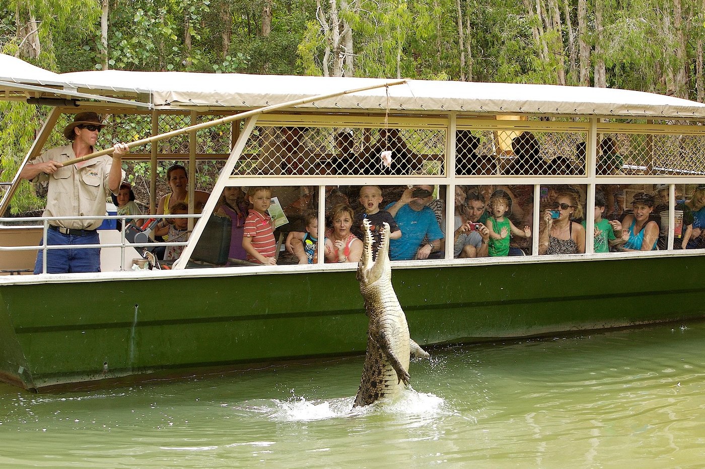 Hartleys Crocodile Adventures Full or Half Day Tour