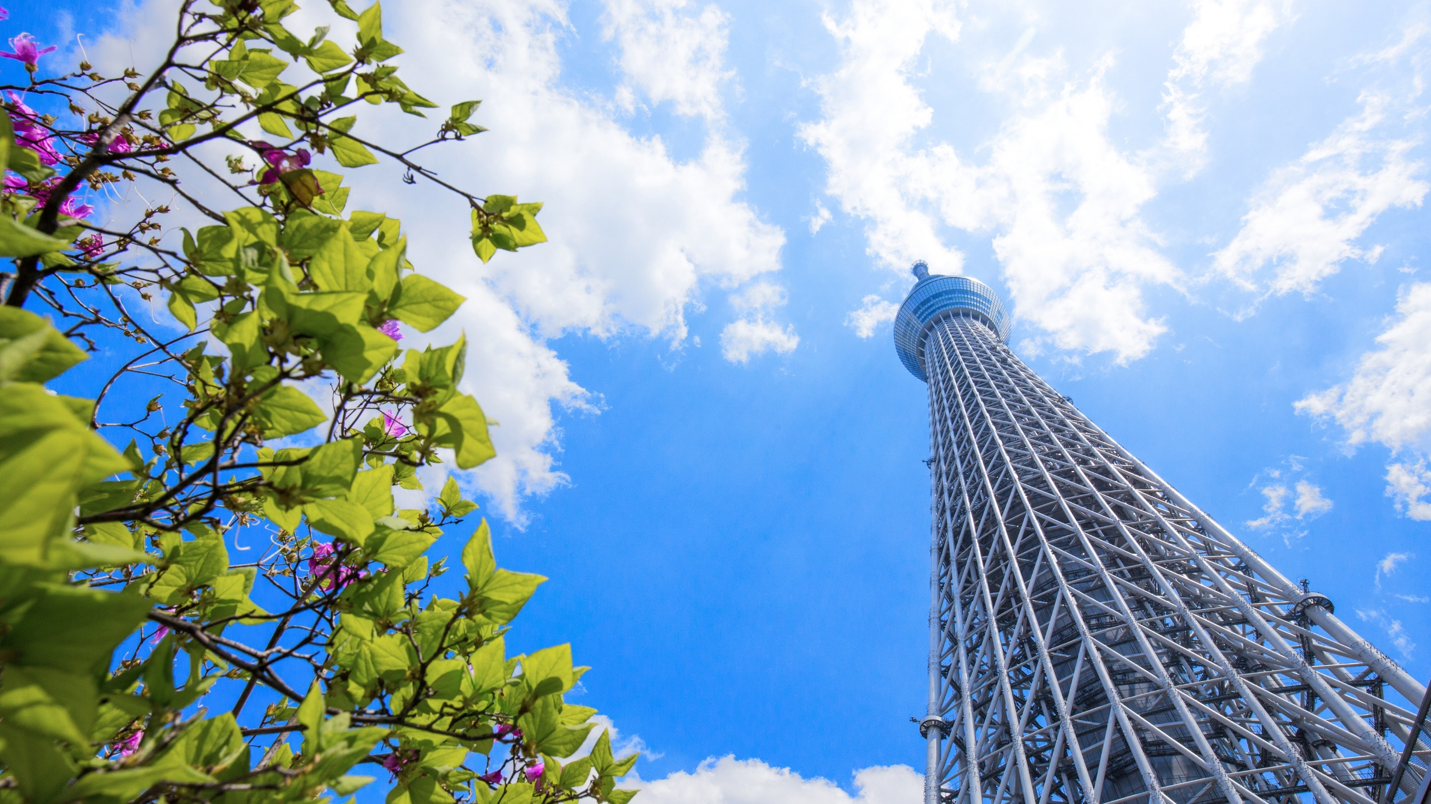 東京晴空塔宛如現代燈塔般聳立於東京，提供360度視野，將城市無盡延伸的景色盡收眼底，天氣晴朗時，甚至能一睹富士山的風采。