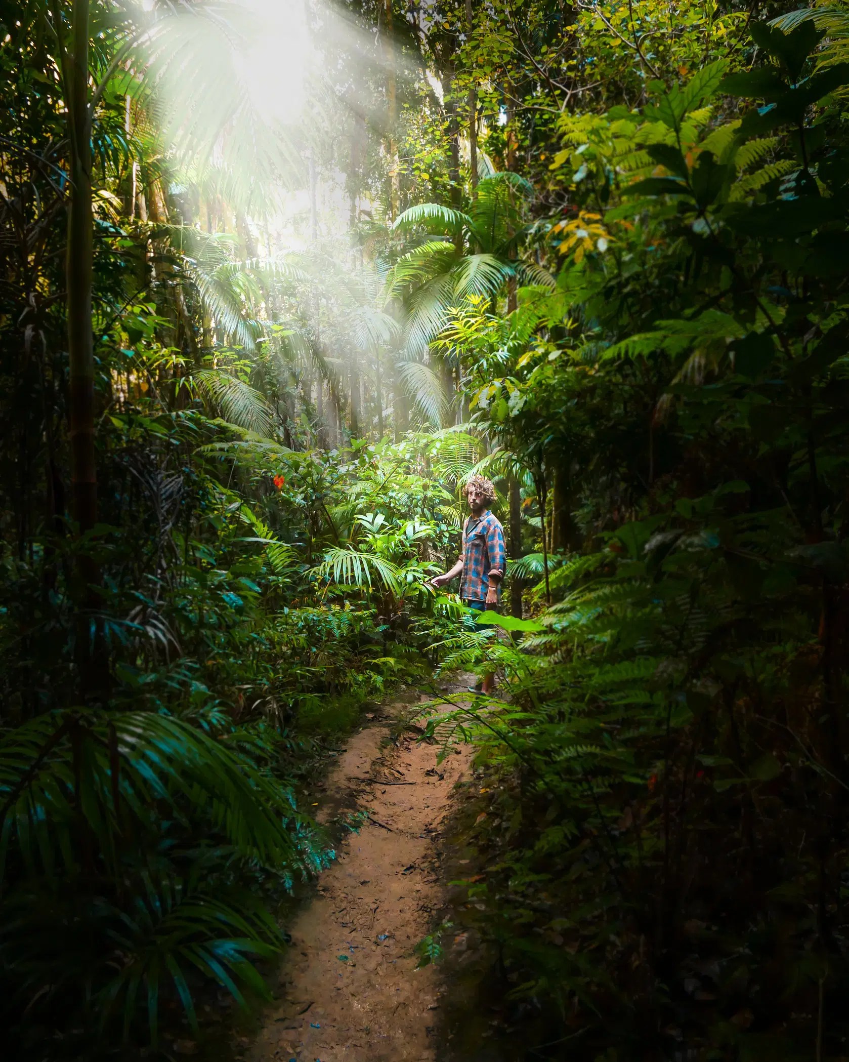 Wildlife Sanctuary Trekking with Lunch