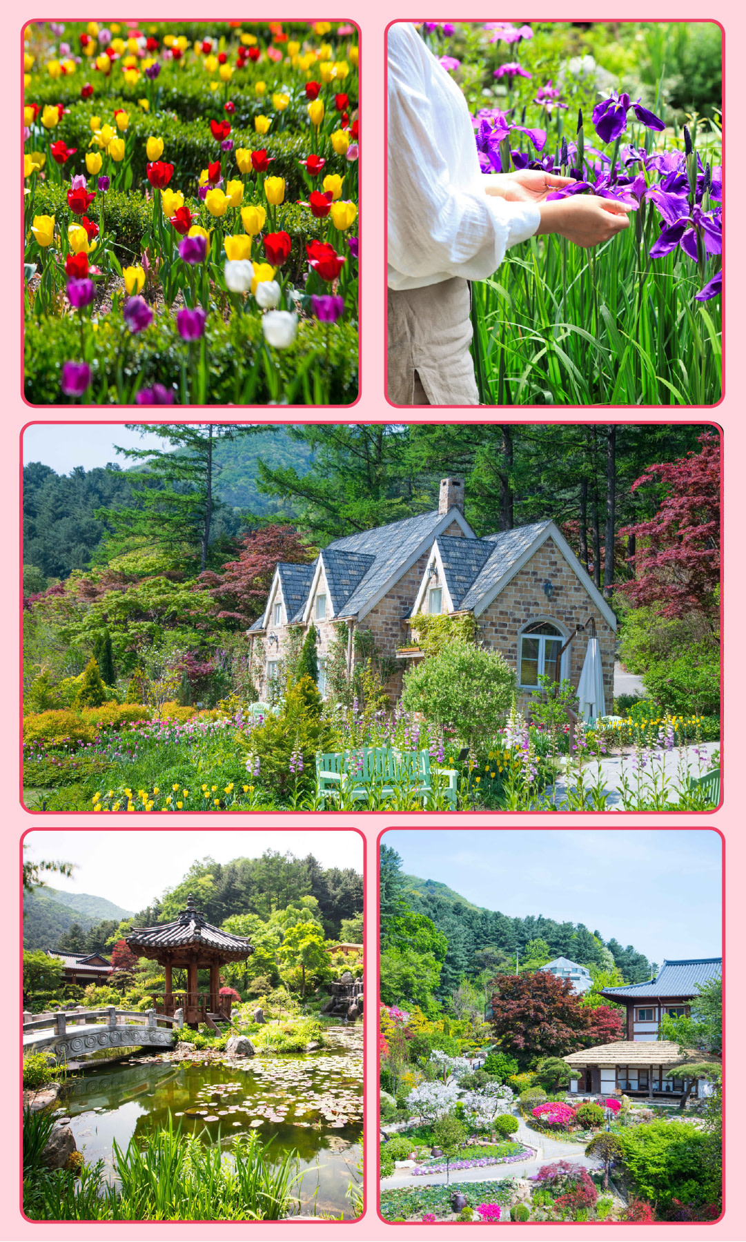 晨靜樹木園是大自然靜謐之美
這是一個位于山中的美麗花園,擁有四季鮮花、風景優美的道路和寧靜的氛圍。晨靜樹木園非常適合放鬆身心的散步和拍攝精美照片——尤其是在春季鮮花盛開、秋季色彩繽紛以及神奇的冬季燈光節期間。 晨靜樹木園是大自然靜謐之美
這是一個位于山中的美麗花園,擁有四季鮮花、風景優美的道路和寧靜的氛圍。晨靜樹木園非常適合放鬆身心的散步和拍攝精美照片——尤其是在春季鮮花盛開、秋季色彩繽紛以及神奇的冬季燈光節期間。