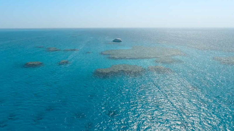 馬薩阿拉姆 - 哈馬塔群島浮潛游船一日遊