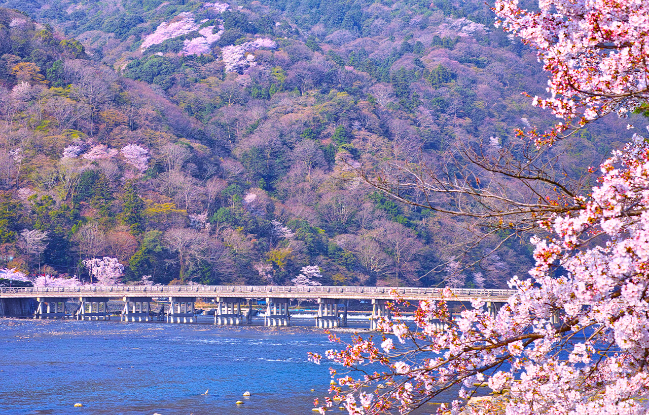 京都奈良嵐山一日遊|奈良公園喂小鹿 伏見稻荷千本鳥居 嵐山竹林小徑（大阪出發， 京都或大阪下車）