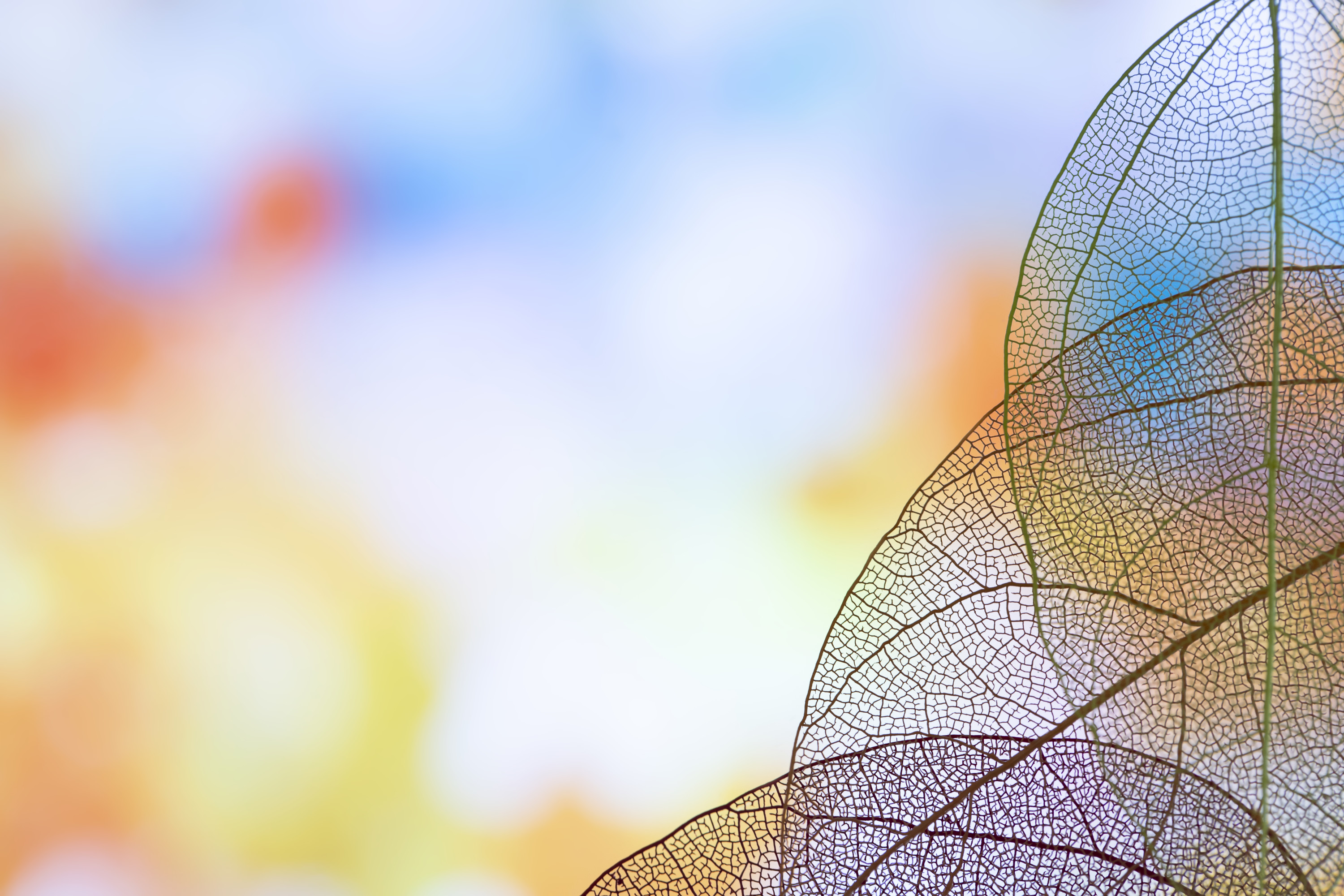 【test】Janes translate test