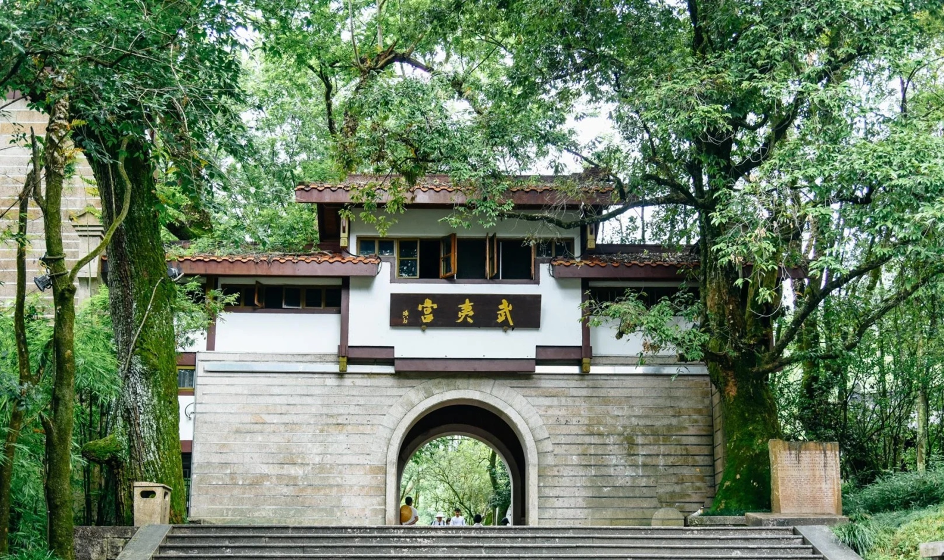 福建武夷山&九曲溪深度2日遊（大紅袍母樹&免費品嚐大紅袍+天遊峰+九曲溪竹筏漂流體驗+贈送特色餐食+動車廈門往返+可選印象大紅袍演出）