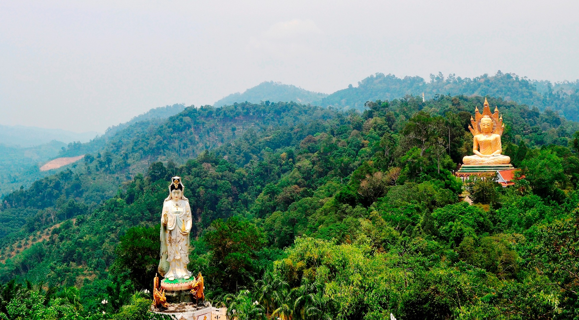 [SALE] Khao Lak Temple Tour with Lunch Sale 8% - Ticket KD