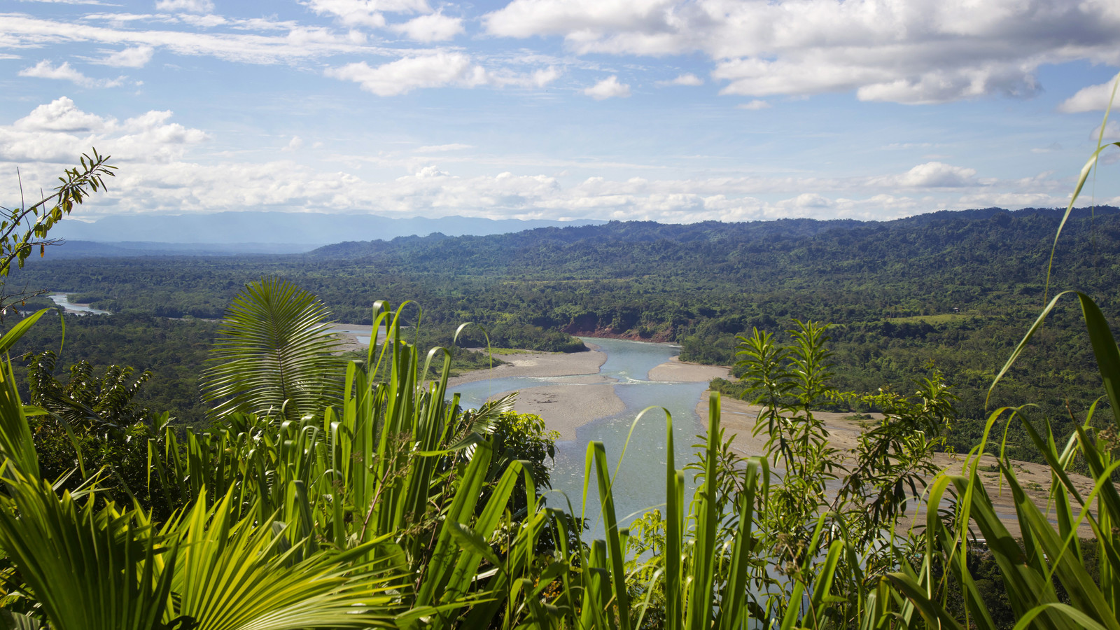 Cusco Manu Amazon Tours 6 Days