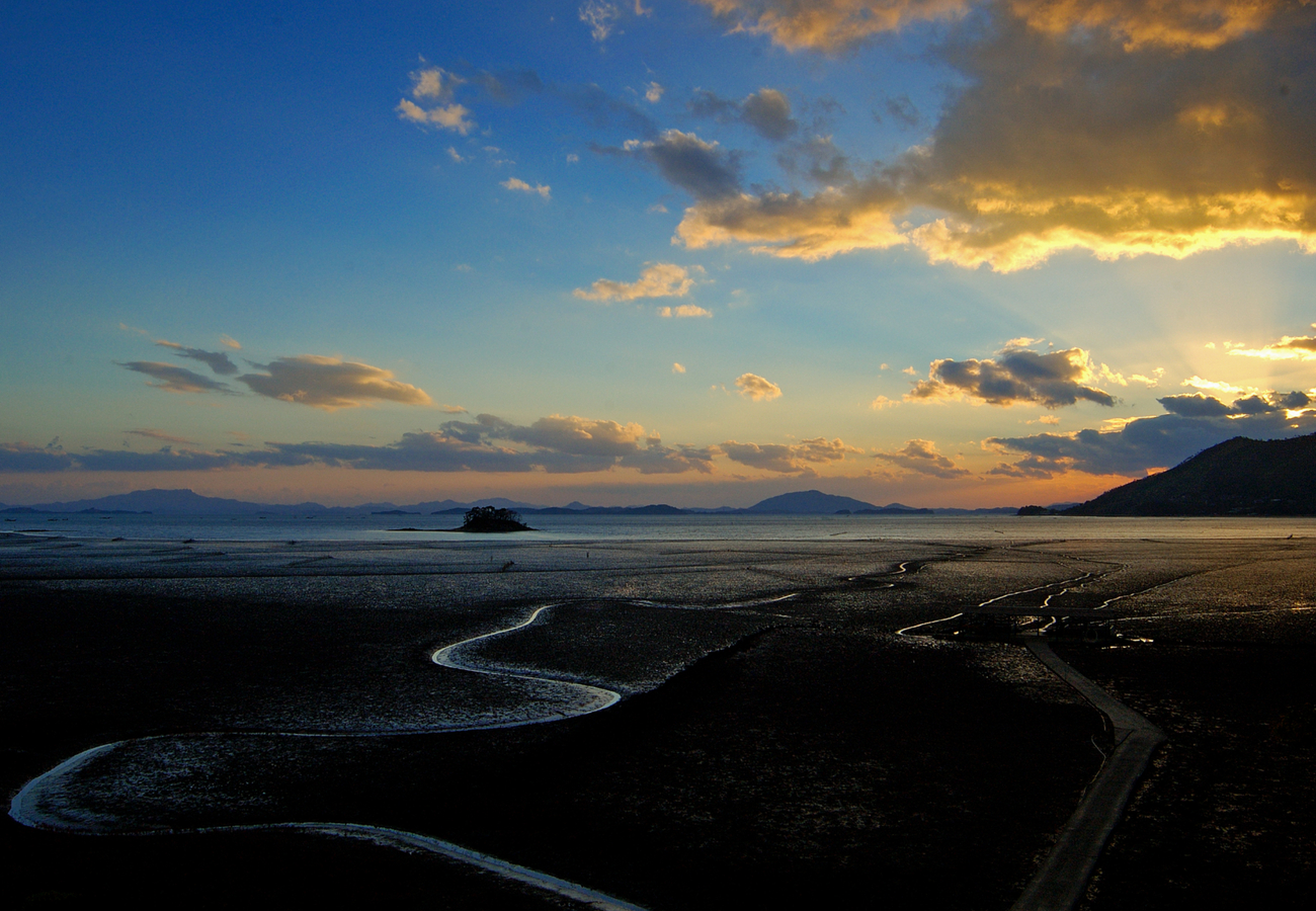 Suncheonman Wetland