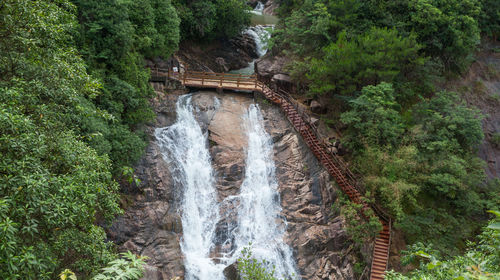 白江湖森林公園