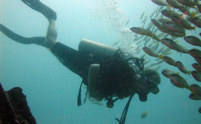仙本那 PADI 五星潛水中心進階潛水線上課程