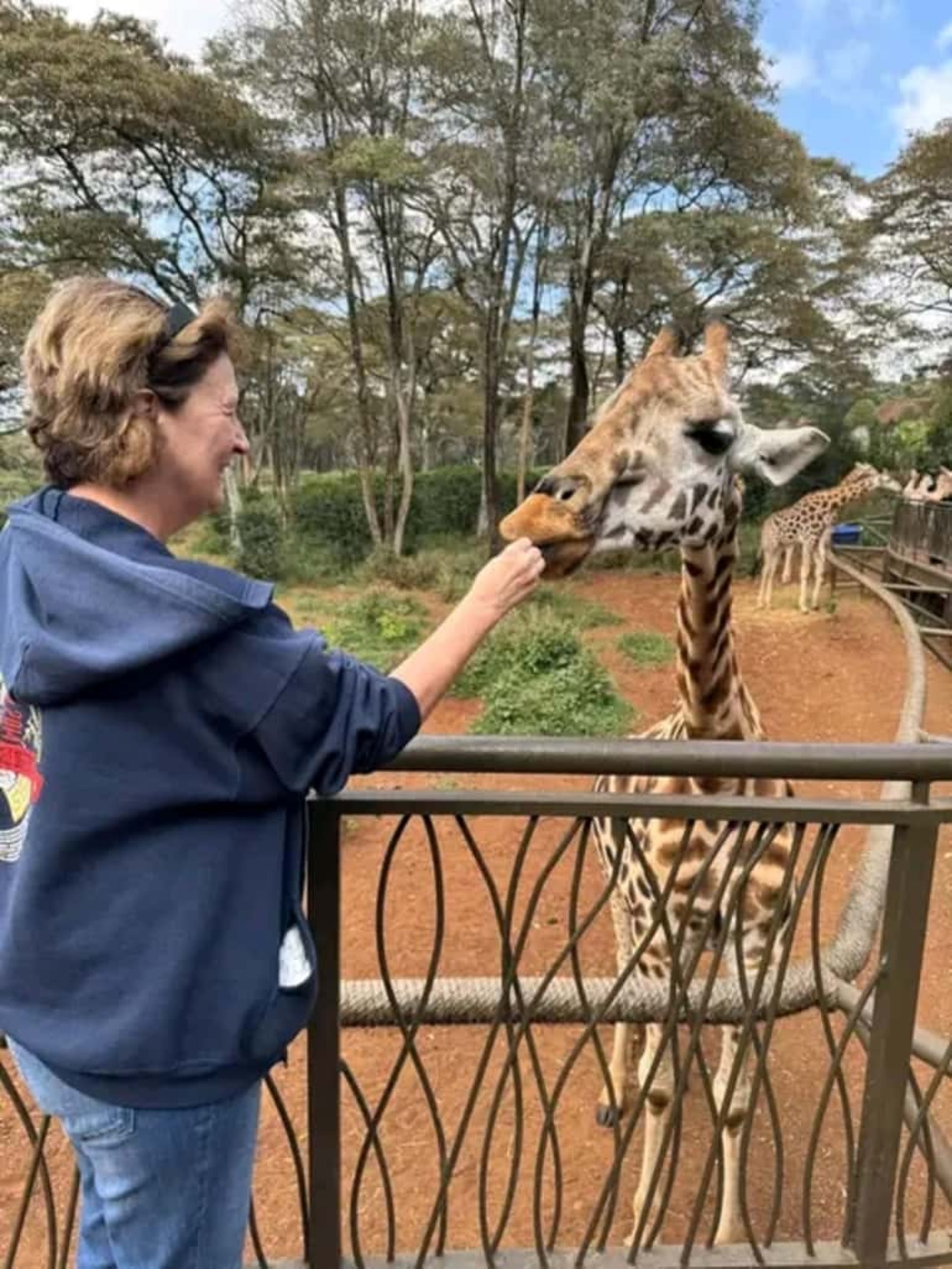 Mombasa City Highlights & Haller Park Half-Day Tour