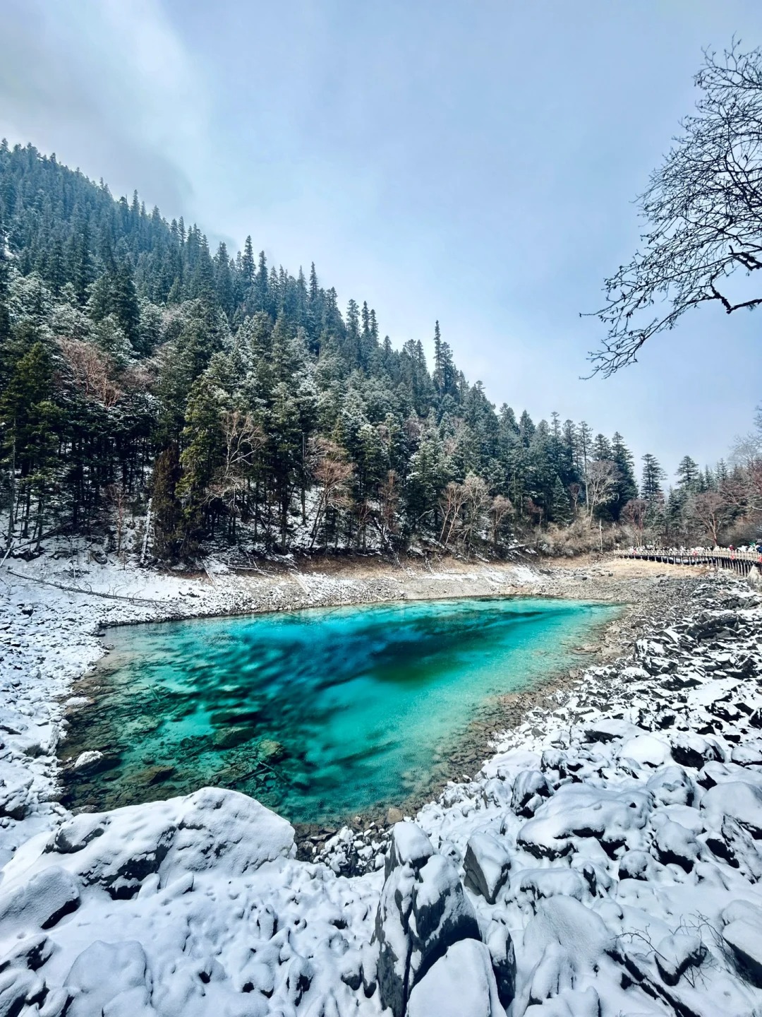 冬日的九寨溝，宛如夢幻的冰雪王國。雪花紛紛揚揚，為山林披上潔白盛裝，使山林更顯靜謐深邃。海子在雪的輕吻下，如一面面冰鏡，清澈神秘。瀑布則凝固成晶瑩剔透的冰雕，在陽光下熠熠生輝，彷彿時間都為之靜止，美得讓人心醉神迷。
