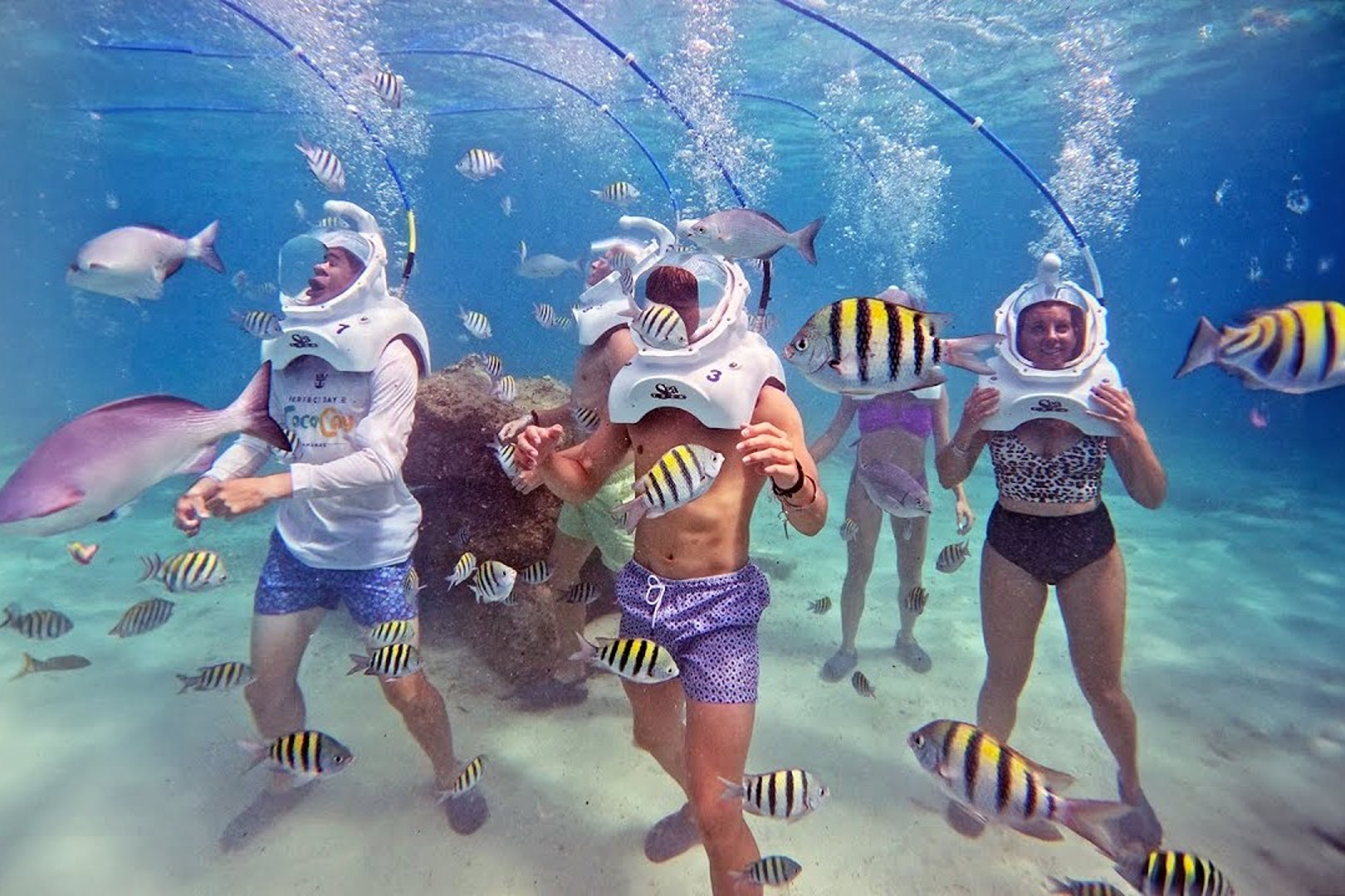 Cebu Helmet Diving Experience