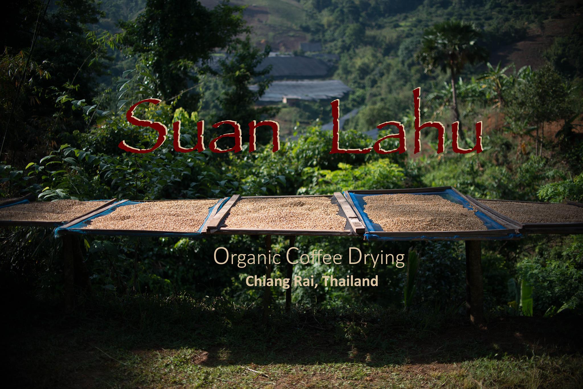 蘇拉拉胡有機咖啡農場和高山村落體驗 (SuanLahu organic coffee farm and highland village experience)