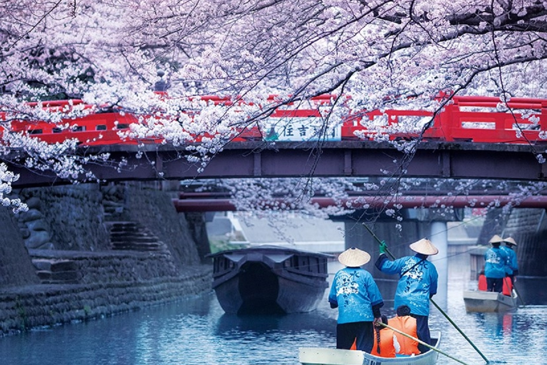 從名古屋出發，乘坐包租火車和遊船，暢享精彩的佐倉一日遊