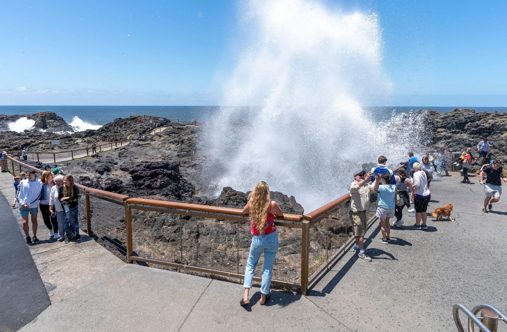 One-day tour to Wolonggang Kiama Blowhole and Kangaroo Valley (Chinese & English)