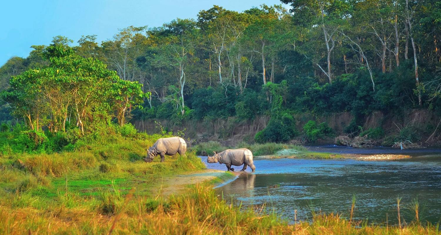 Kathmandu: Private 3 Days Chitwan Jungle Safari Tour