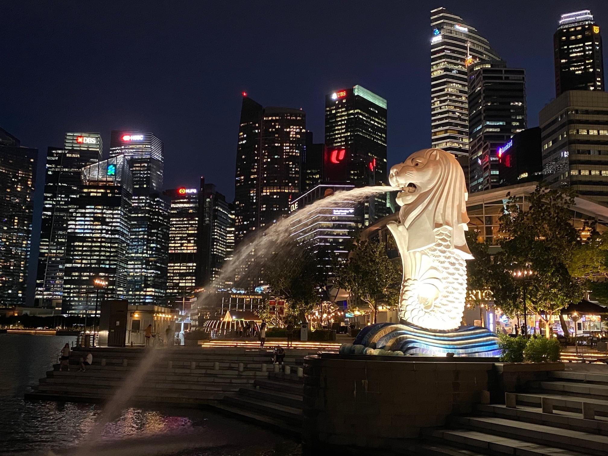 魚尾獅公園與夜景 魚尾獅公園與夜景