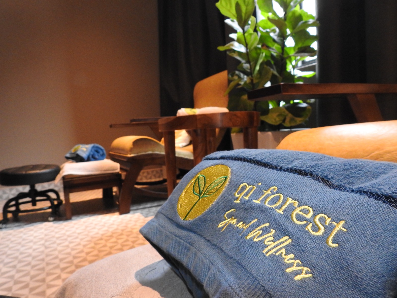 Spa and Wellness Experience at Qi Forest