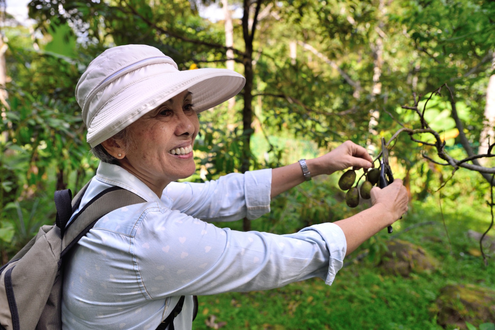 Orchard Farm Fruit Tasting Tour in Penang