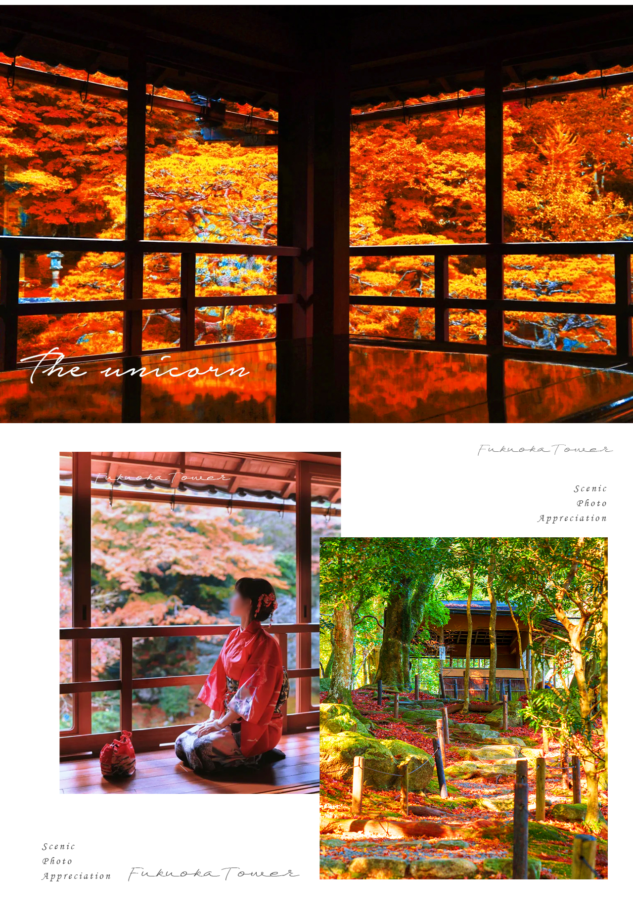 比叡山麓的禪意秘境,舊林竹院以枯山水庭院、蒼松翠竹勾勒日式雅緻,藏著不疾不徐的靜謐時光。 比叡山麓的禪意秘境,舊林竹院以枯山水庭院、蒼松翠竹勾勒日式雅緻,藏著不疾不徐的靜謐時光。