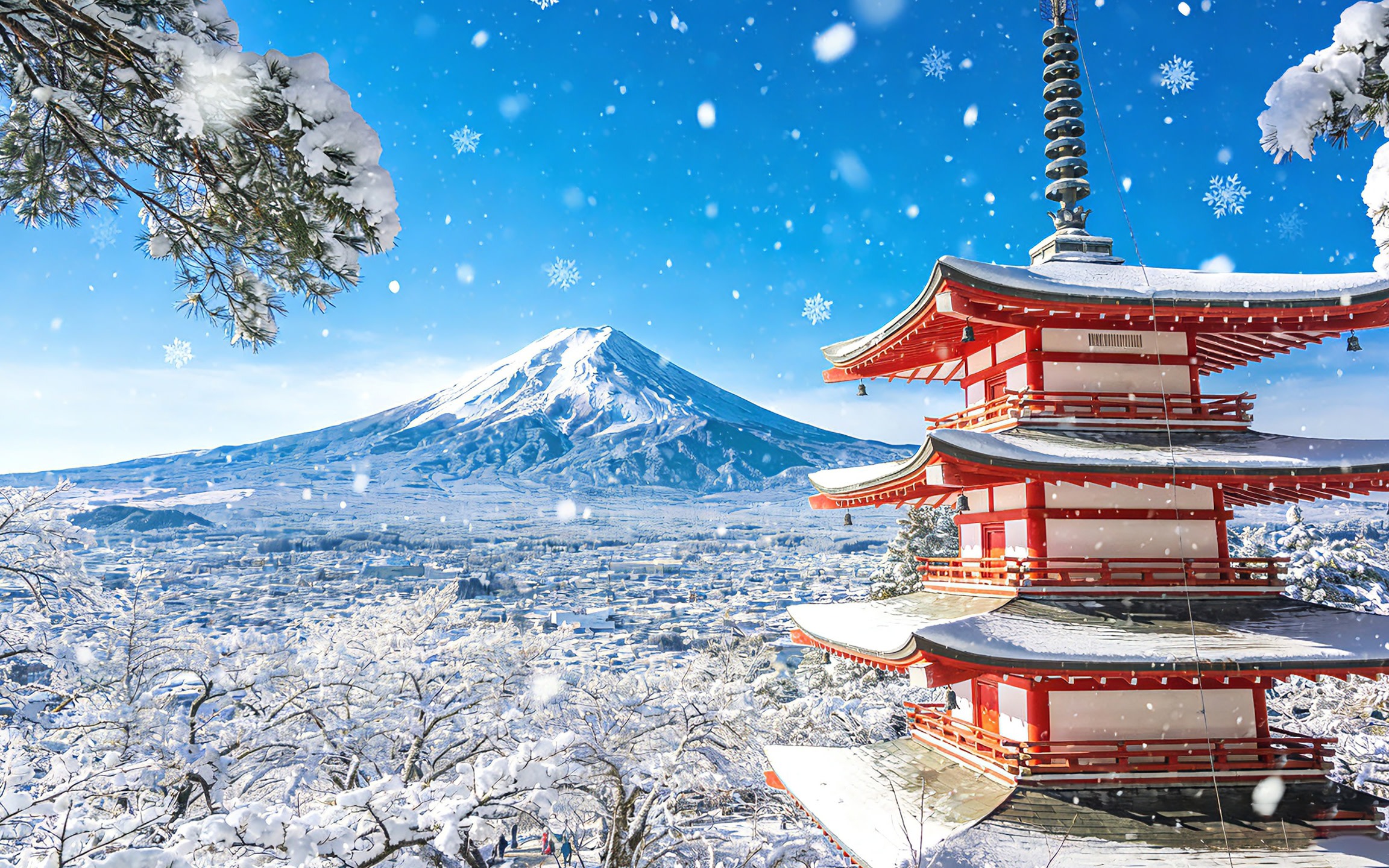 [Mount Fuji, Hakone, and Kawaguchiko Day Trip] Owakudani & Hakone Shrine & Lawson Convenience Store & Lake Kawaguchiko (Departure from Tokyo)