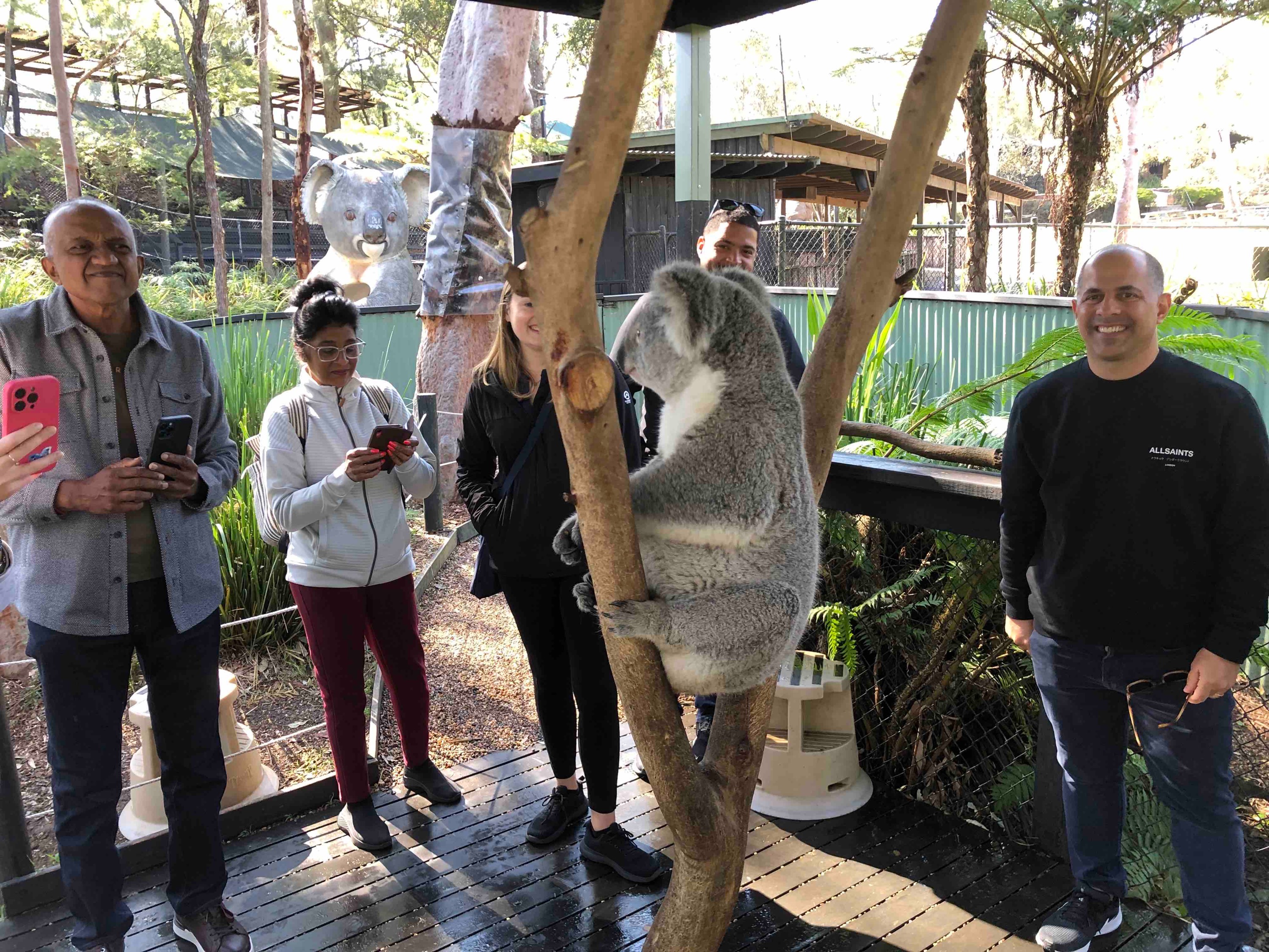 ハンターバレー ワイン・野生動物ツアー（シドニー発）