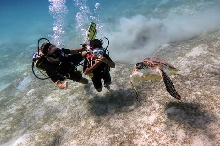 Hurghada: Luxury Yacht with Diving , Snorkeling and Sea food lunch