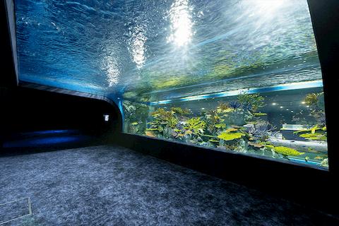 【iias豊崎購物中心】您可選擇在 Outlet (停留110分鐘)；或至iias豊崎購物中心 (停留90分鐘)，不僅能購物，還可享有優惠價格加購 DMM水族館門票。