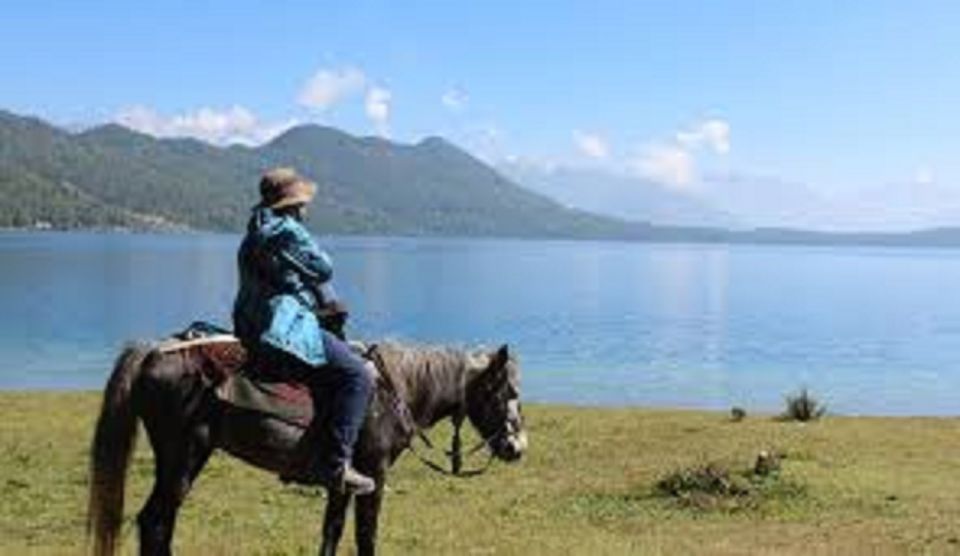 From Pokhara: Unforgettable Horseback Riding Adventure