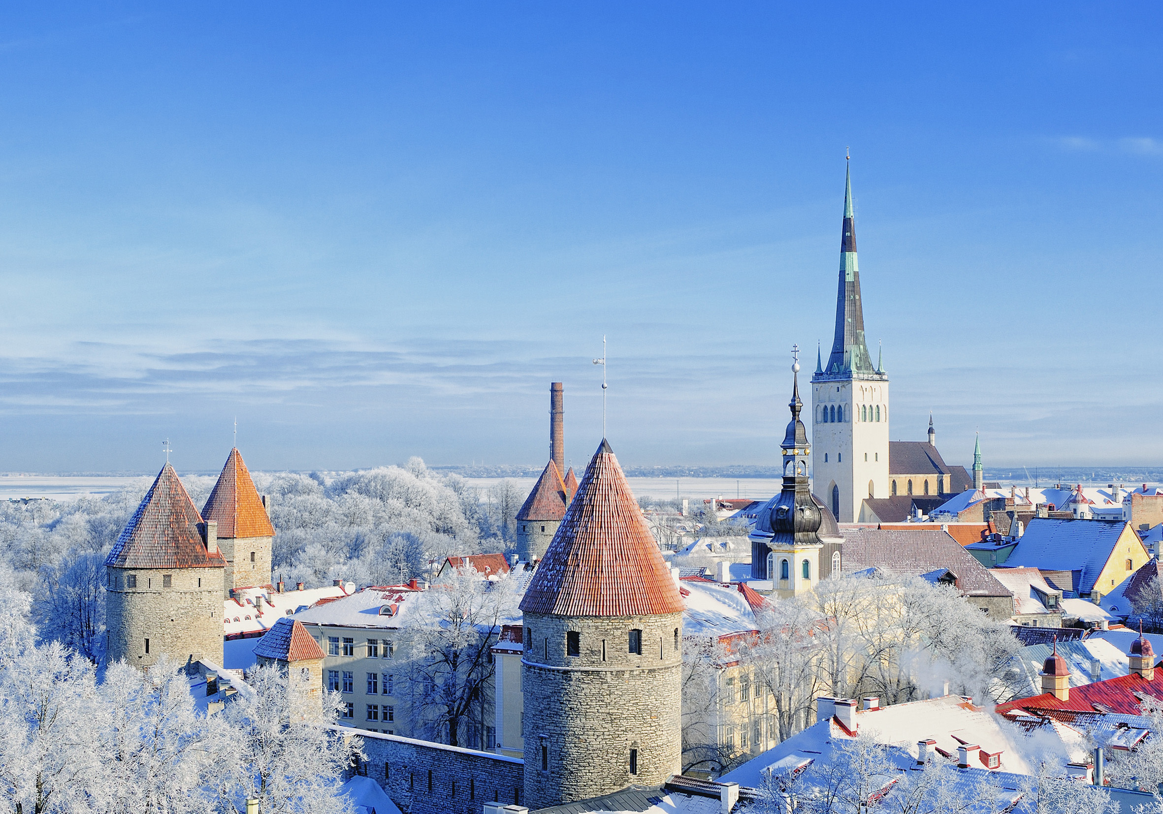 盡享城市令人驚嘆的鳥瞰美景