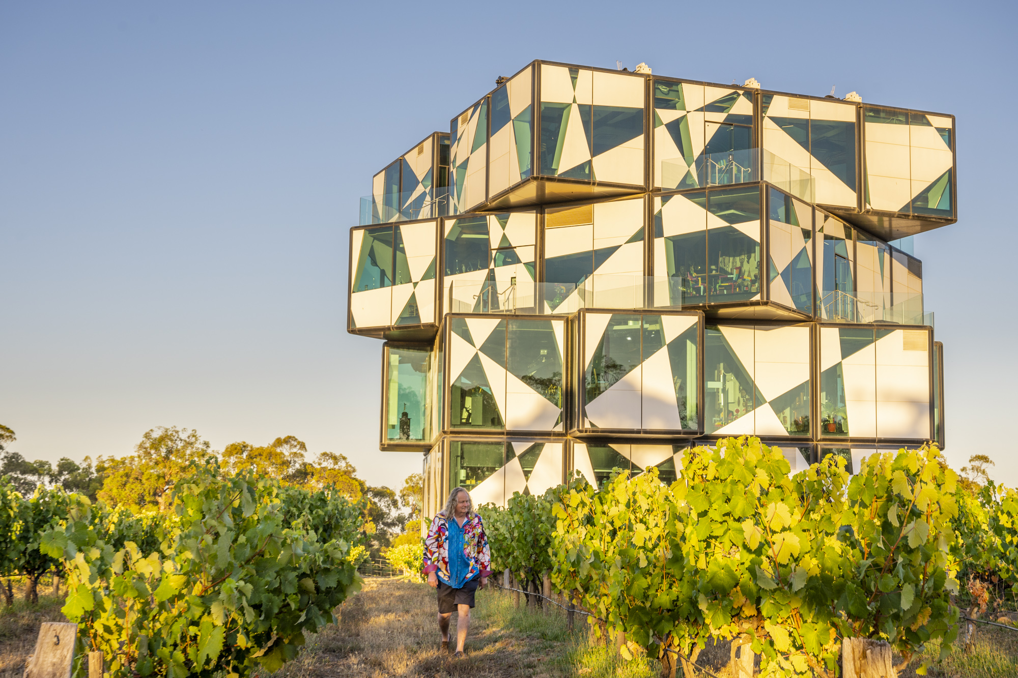 dArenberg Distilled Experience in McLaren Vale