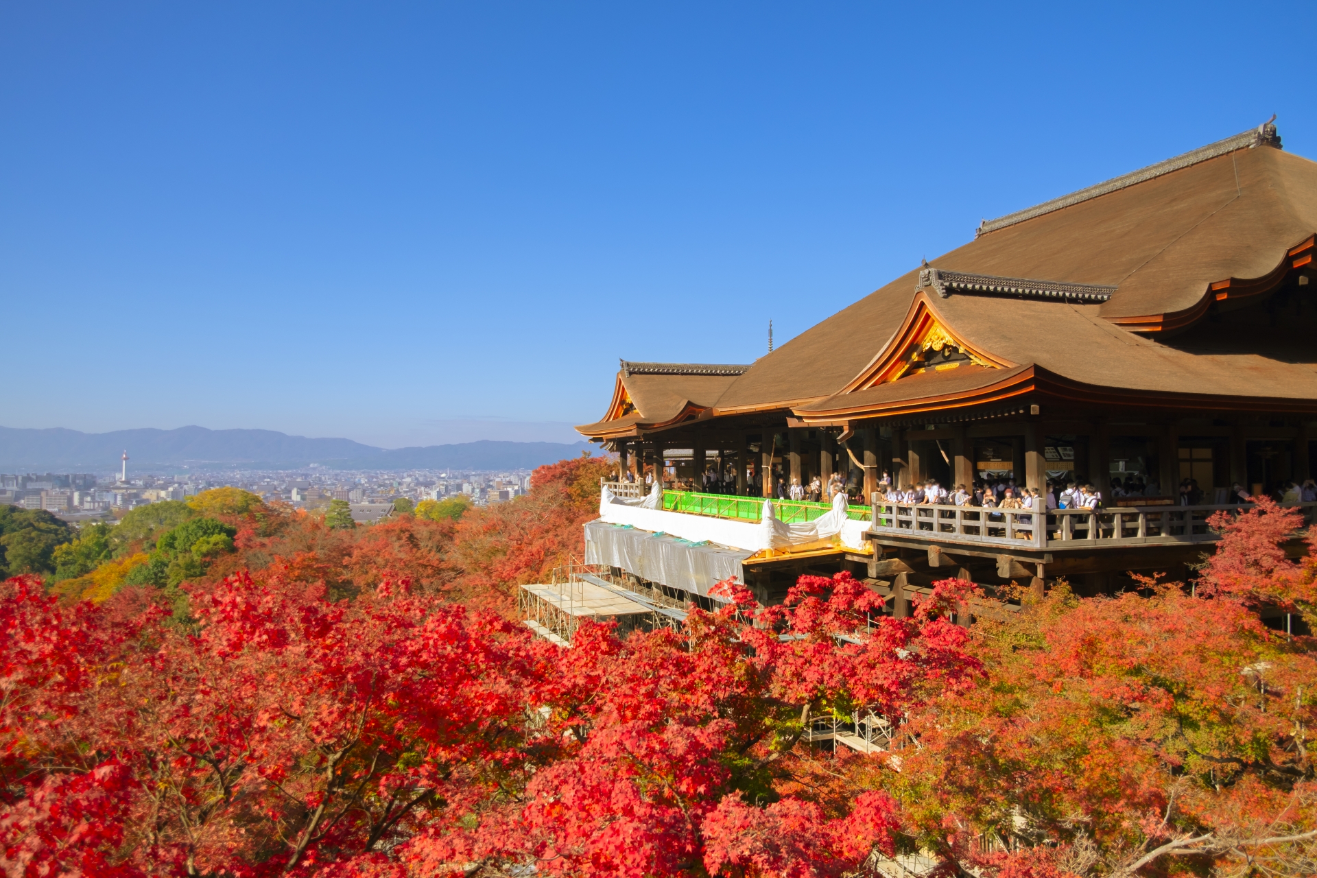Fushimi Inari Taisha, an awe-inspiring shrine dedicated to the god of business prosperity, is the head shrine of all Inari shrines across Japan.